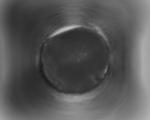 X0000089760018200707201951