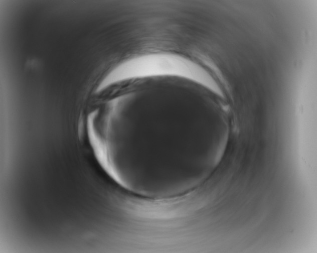X0000089760019200707201951
