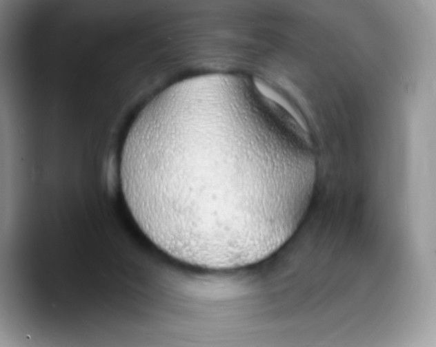 X0000089760020200707201951