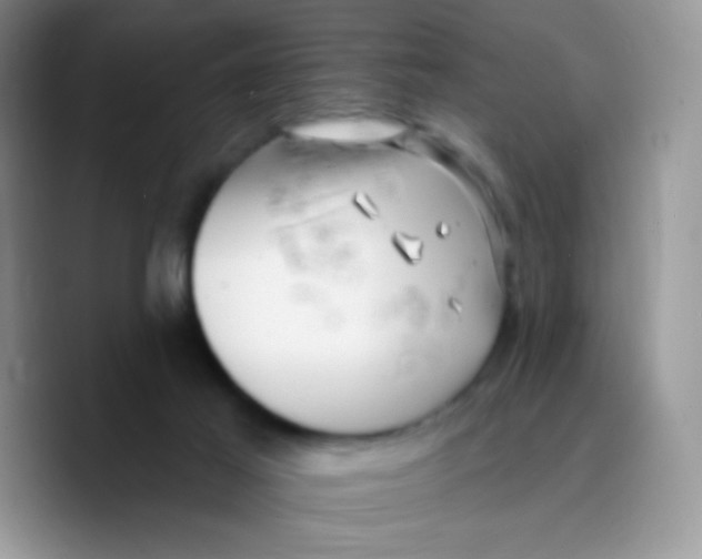 X0000089760021200707201951