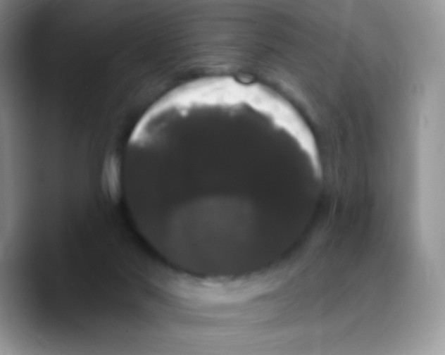 X0000089760022200707201951