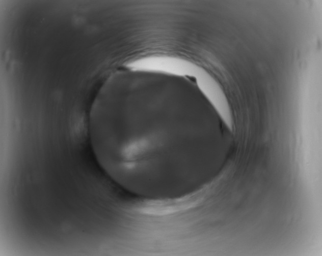 X0000089760029200707201951
