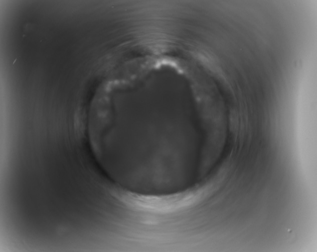 X0000089760030200707201951