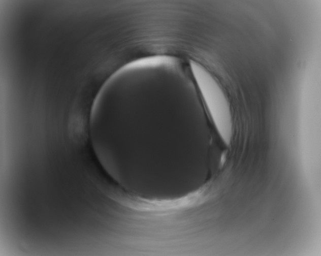 X0000089760031200707201951