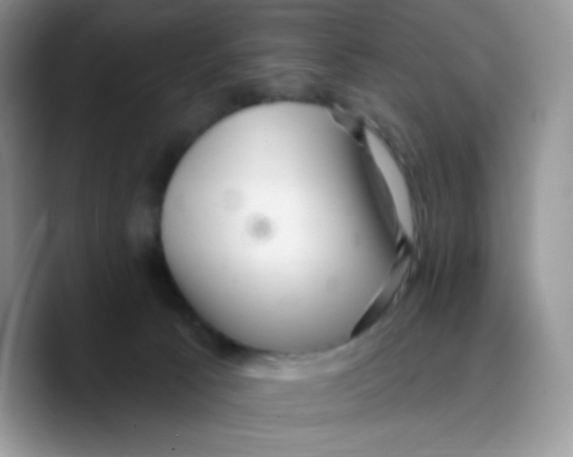 X0000089760033200707201951