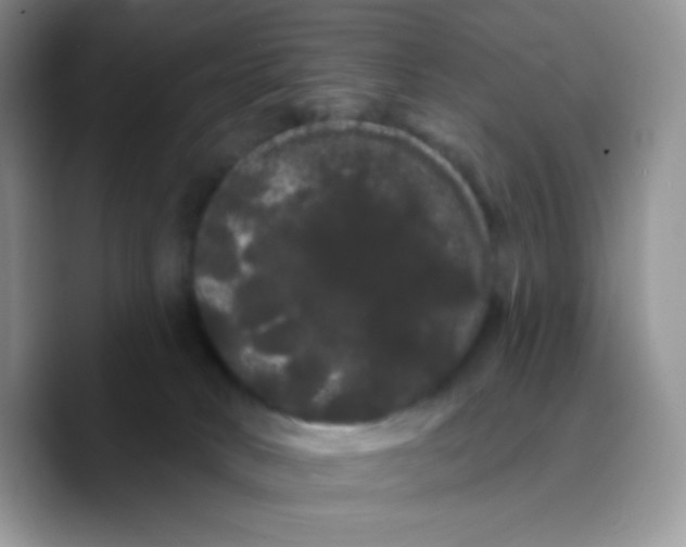 X0000089760034200707201951