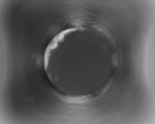 X0000089760036200707201951