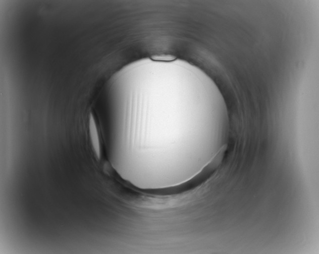 X0000089760037200707201951