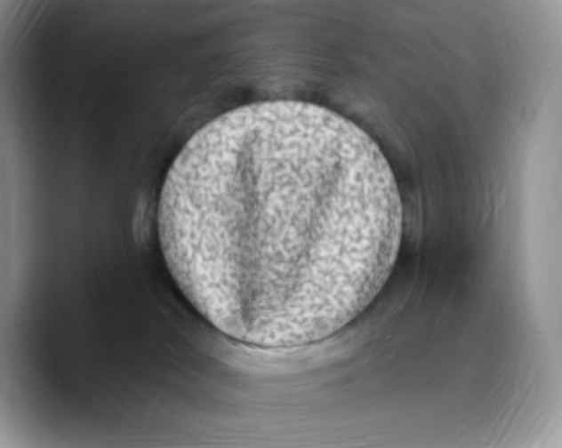 X0000089760038200707201951