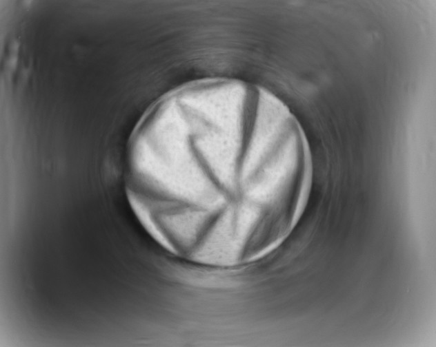 X0000089760040200707201951