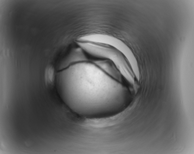 X0000089760041200707201951
