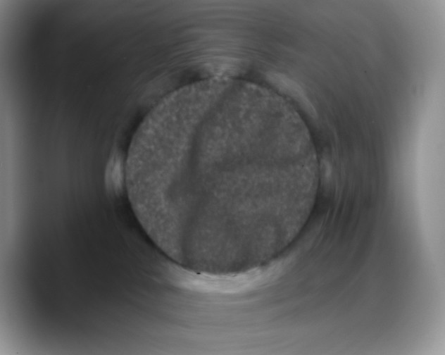 X0000089760042200707201951