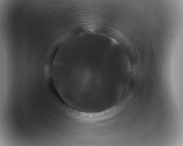 X0000089760043200707201951