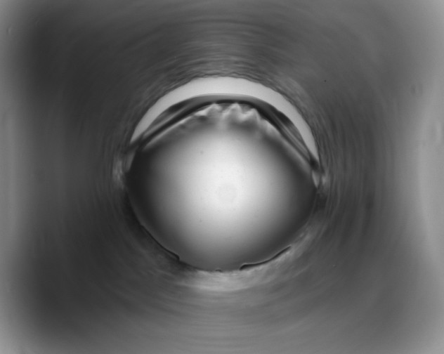X0000089760045200707201951