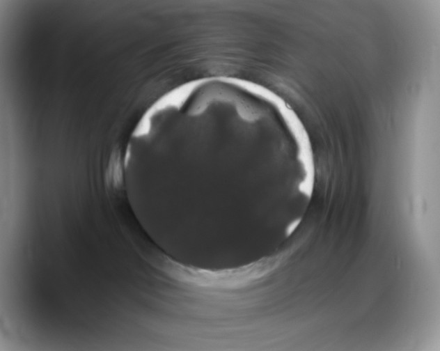 X0000089760046200707201951
