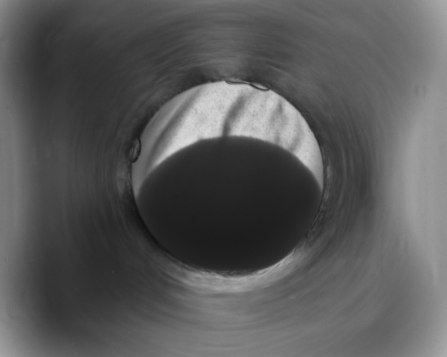 X0000089760048200707201951