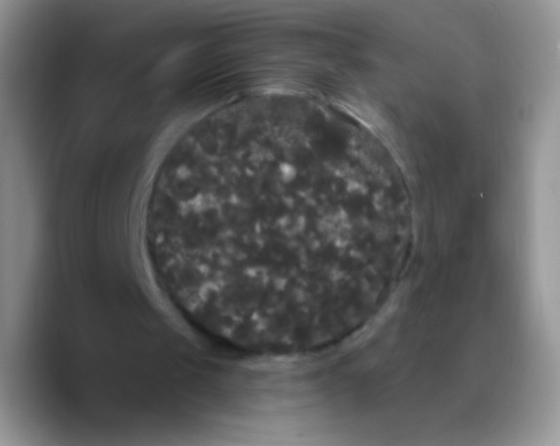 X0000089760049200707201950