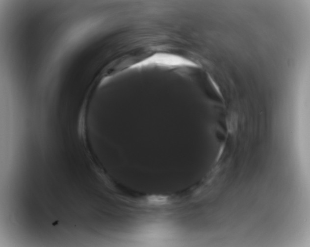 X0000089760052200707201950