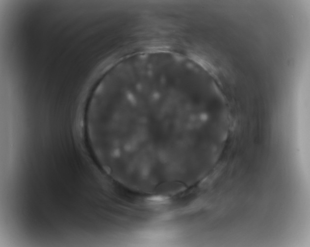 X0000089760053200707201950