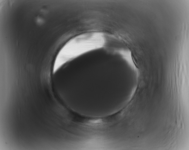 X0000089760054200707201950