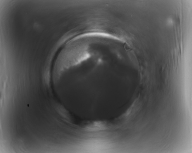 X0000089760056200707201950
