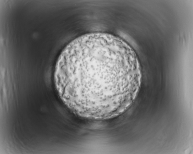 X0000089760058200707201950