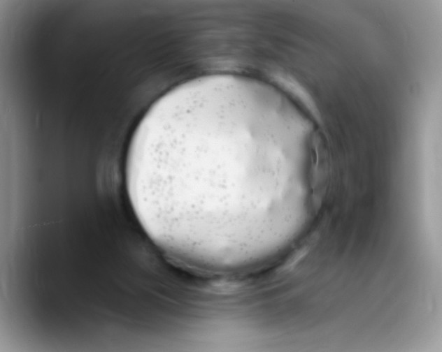 X0000089760059200707201950