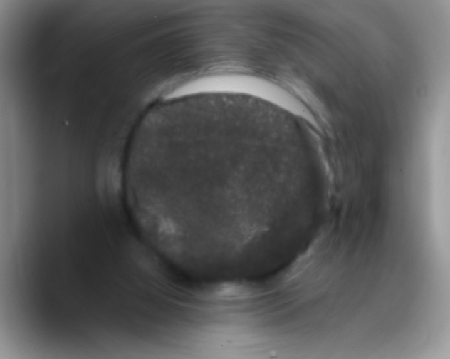 X0000089760060200707201950