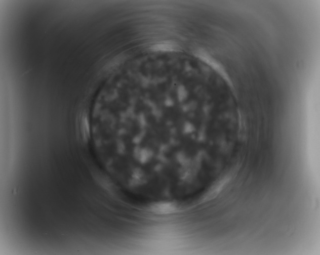 X0000089760061200707201950