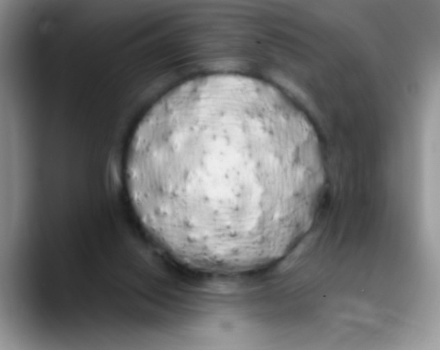 X0000089760062200707201951