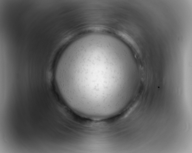 X0000089760063200707201951