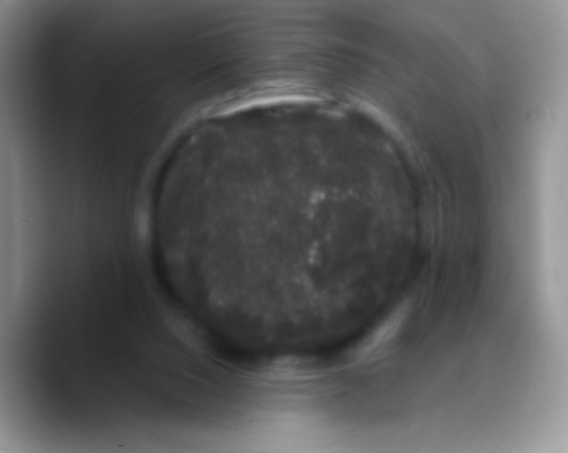 X0000089760064200707201951