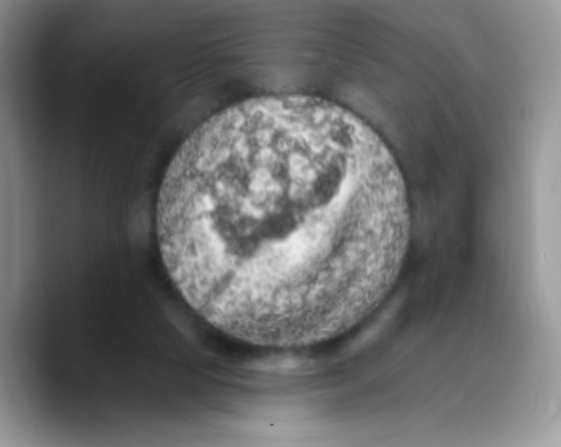 X0000089760065200707201951