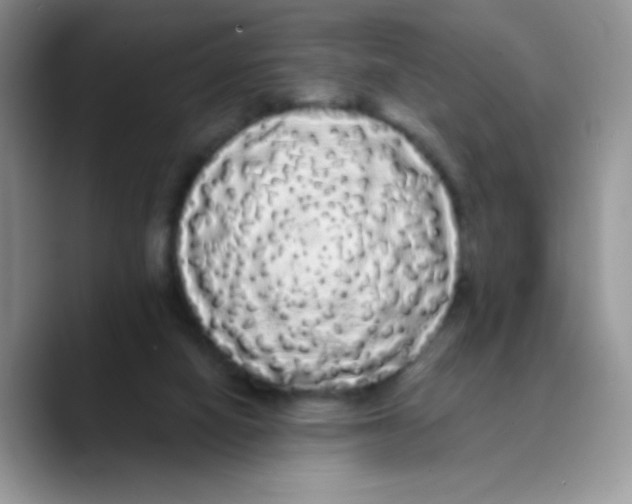 X0000089760066200707201951