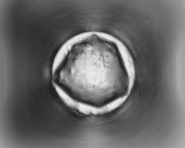 X0000089760067200707201951
