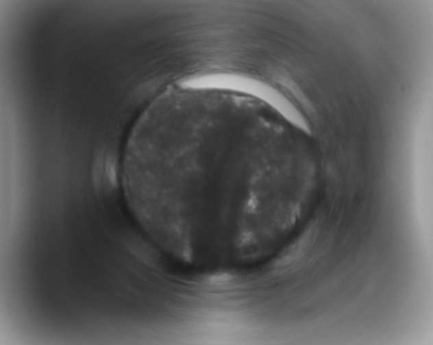 X0000089760068200707201951