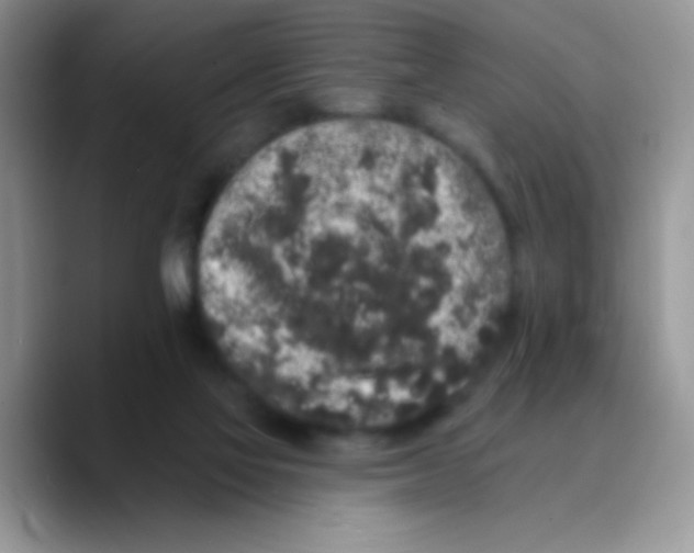X0000089760069200707201951