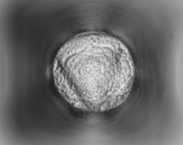 X0000089760070200707201951