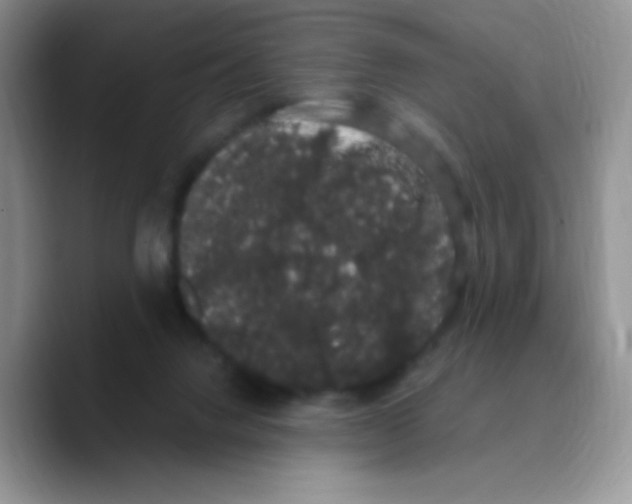 X0000089760072200707201951