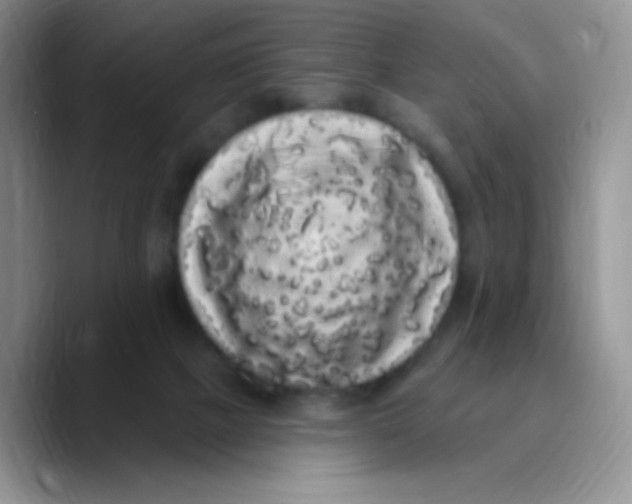 X0000089760073200707201951