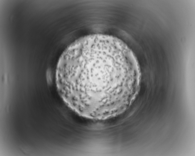 X0000089760075200707201951