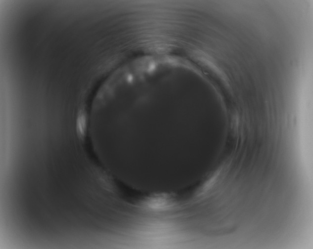X0000089760076200707201951
