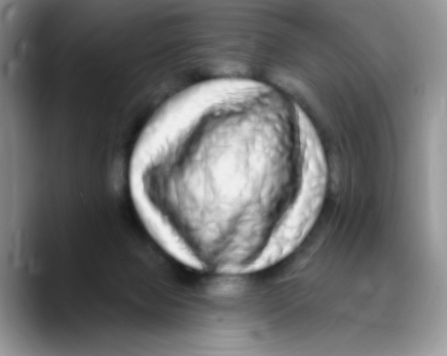 X0000089760077200707201951