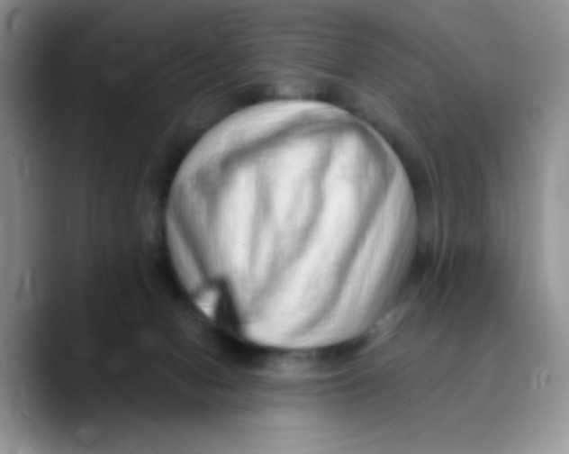 X0000089760078200707201951