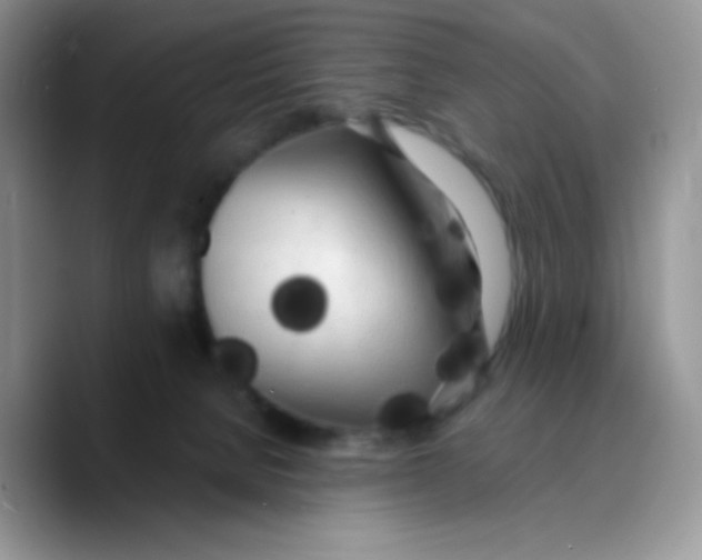 X0000089760080200707201951