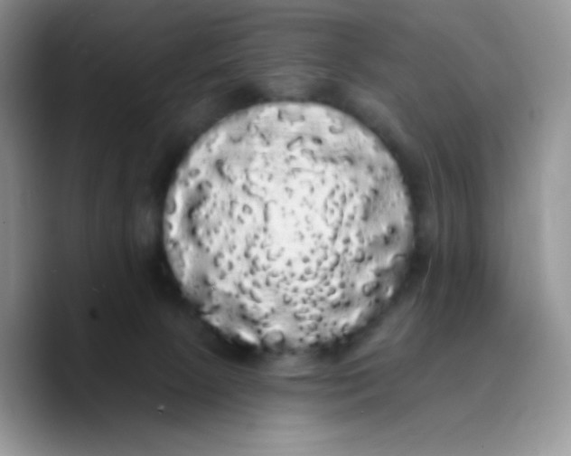 X0000089760081200707201951