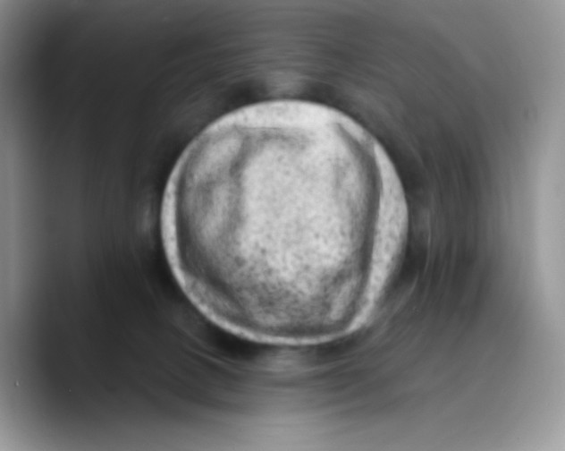 X0000089760082200707201951