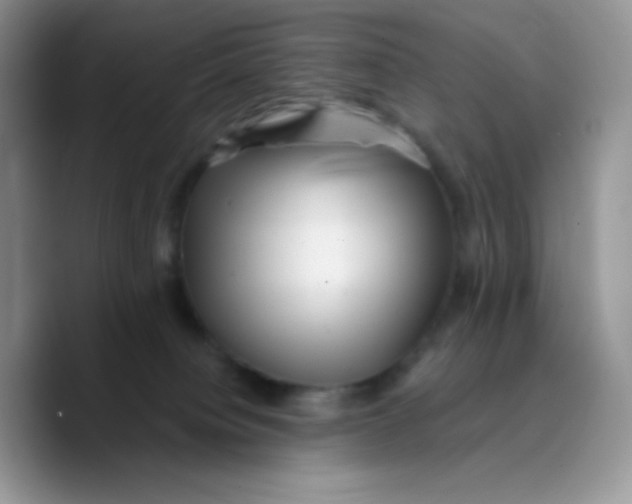 X0000089760084200707201951