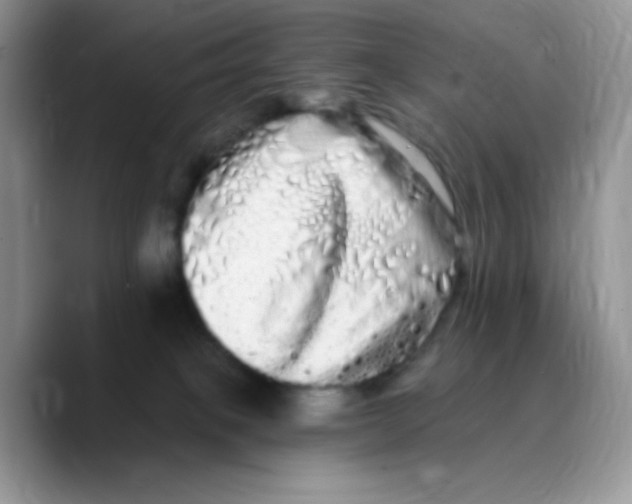 X0000089760085200707201951