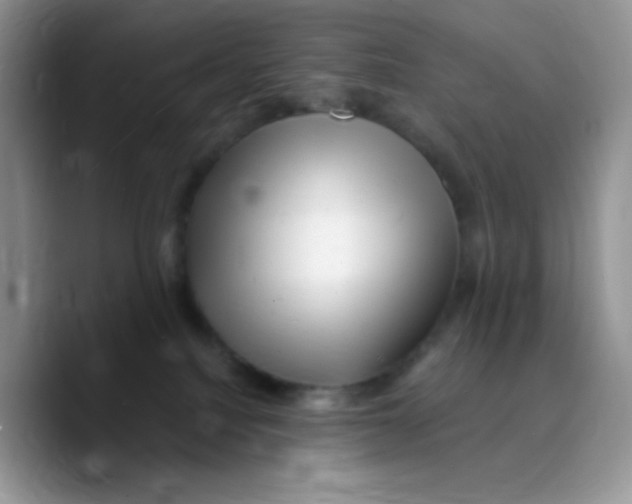 X0000089760088200707201951